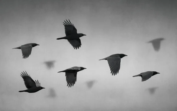 Bandada de aves migratorias en vuelo sobre el horizonte